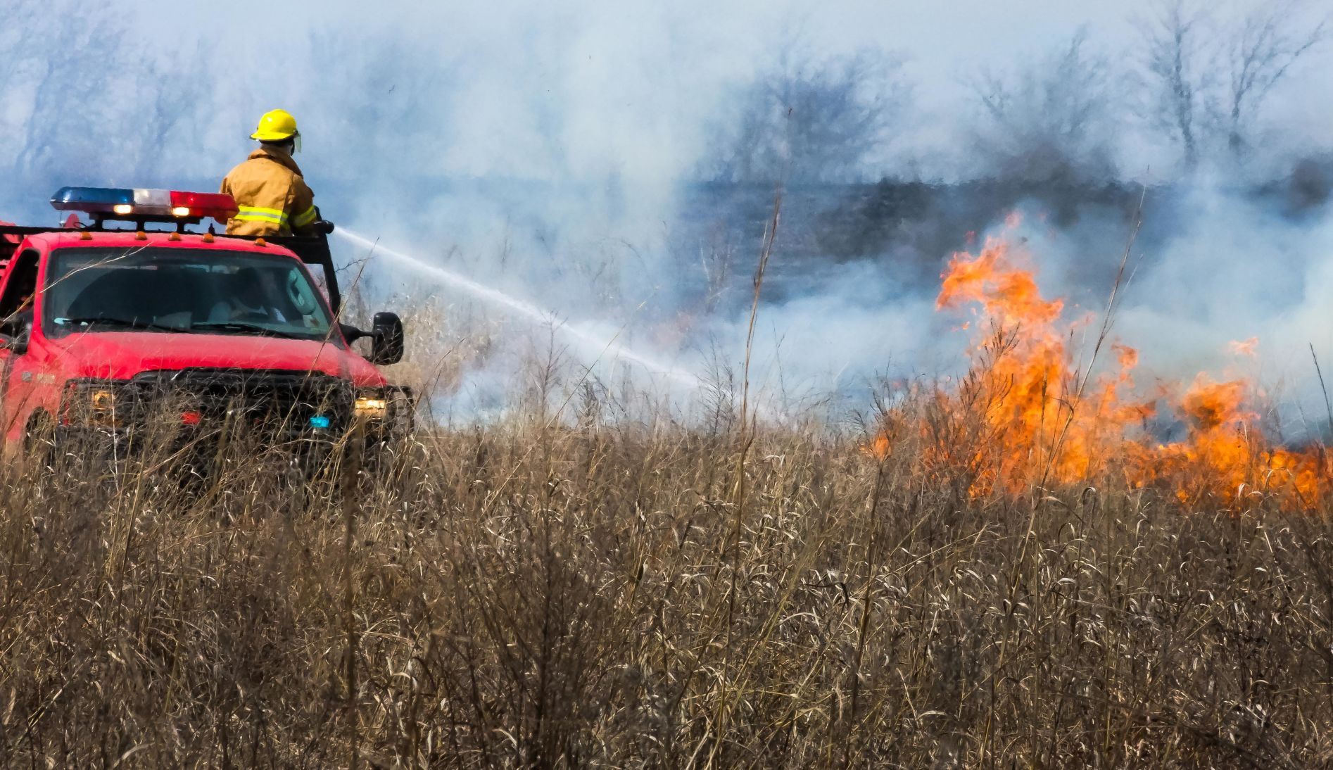 Vanoss Wildfire